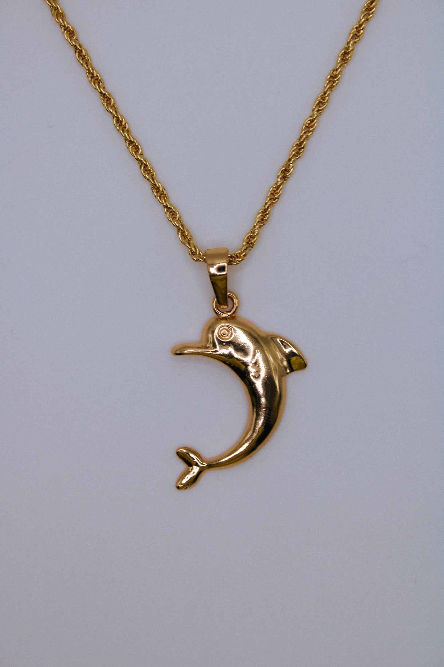 Dolphin Necklace