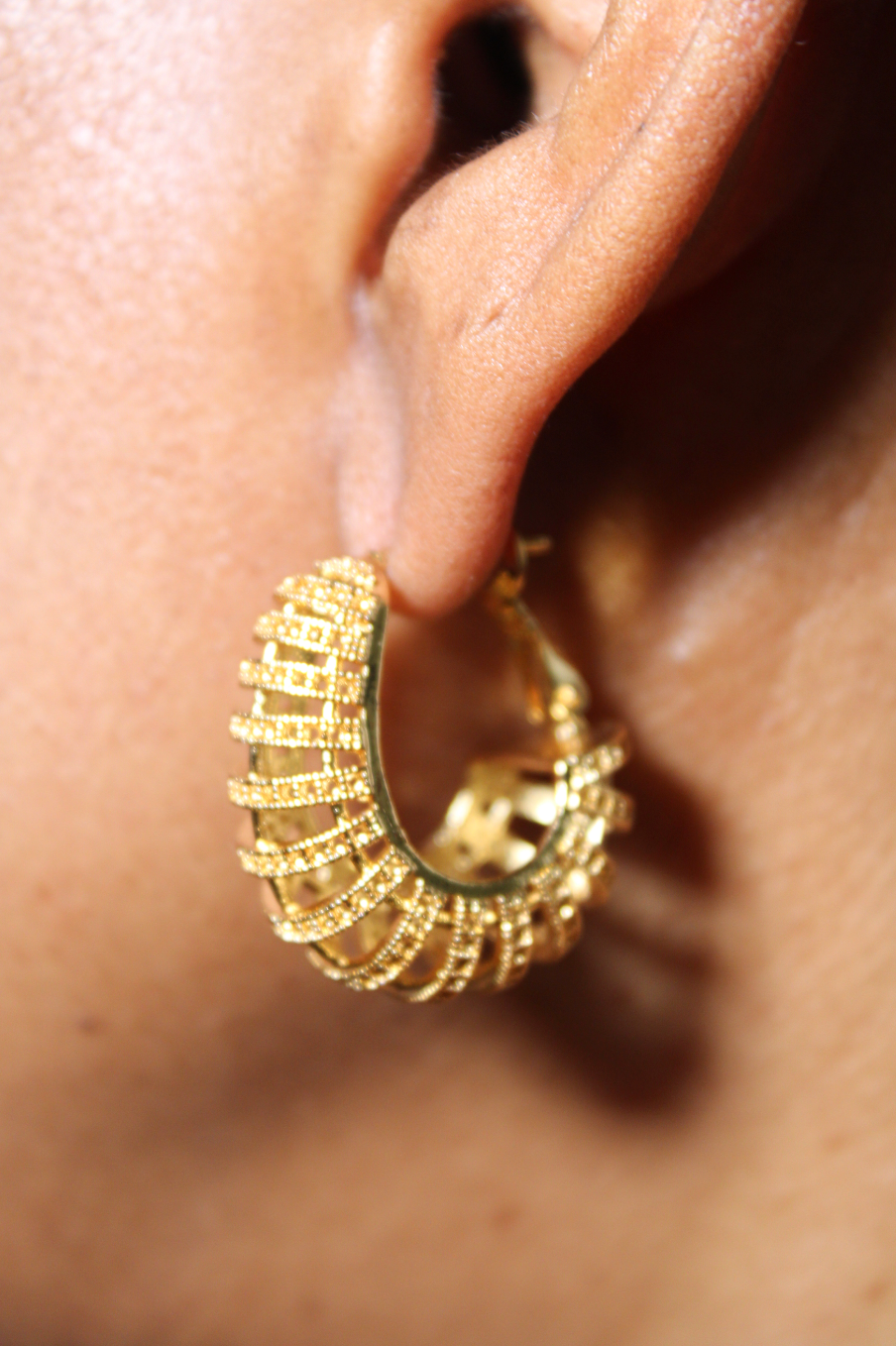 The Phoebe Hoop Earrings